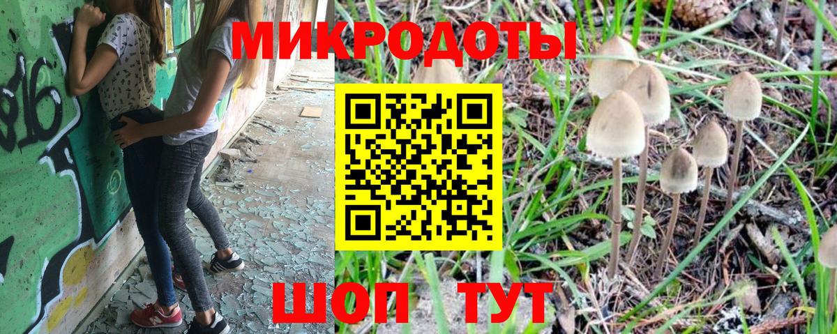 Ефремов  Галлюциногенные грибы GOLDEN TEACHER  Вход с VPN 